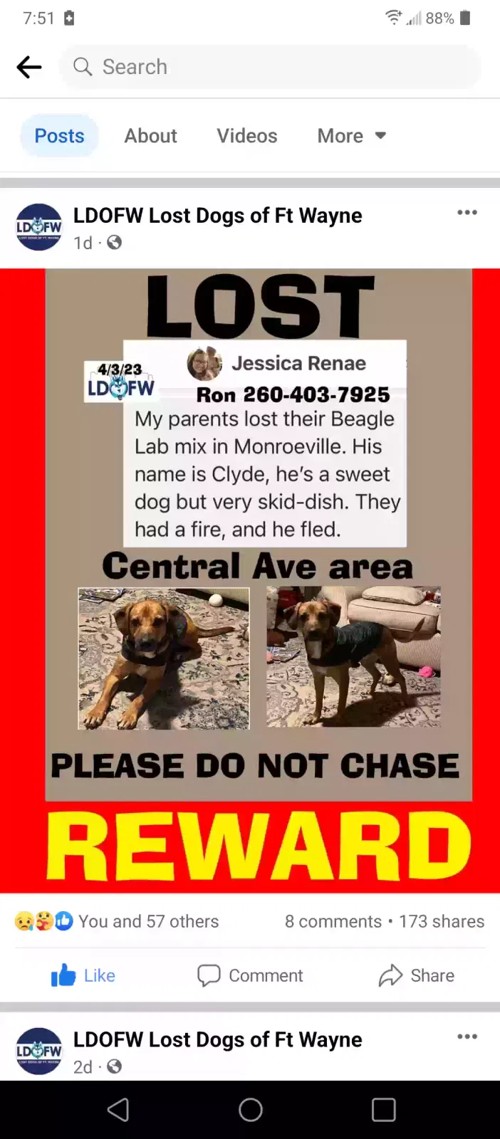 Lost dog in Monroeville, IN, 46773