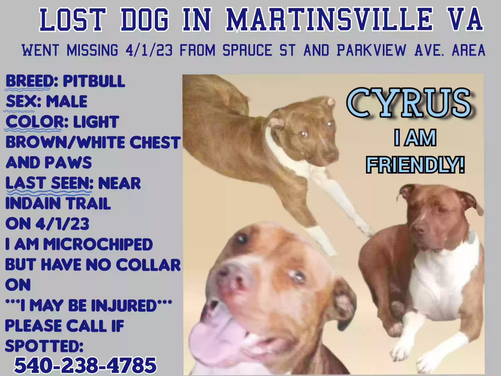 Lost dog in Martinsville, VA, 24112