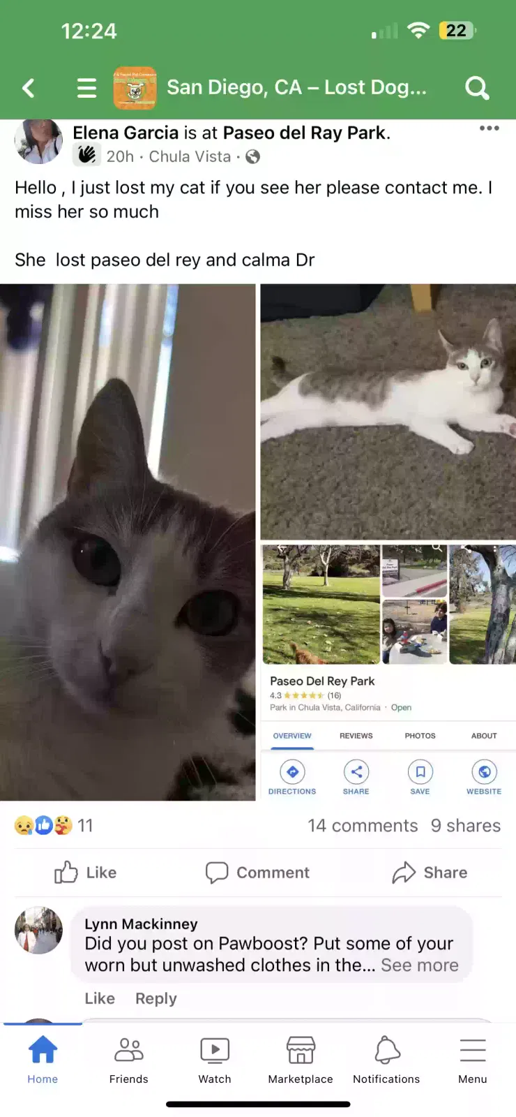Lost cat in Chula Vista, CA, 91910