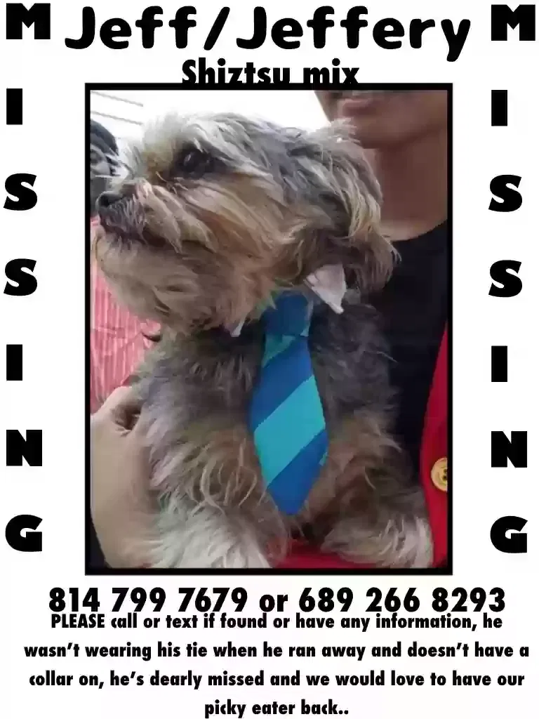 Lost dog in Pittsburgh, PA, 15210