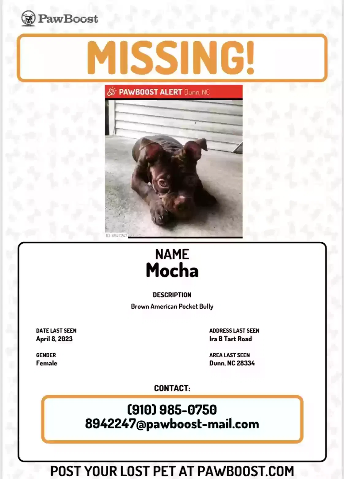 Lost dog in Dunn, NC, 28334