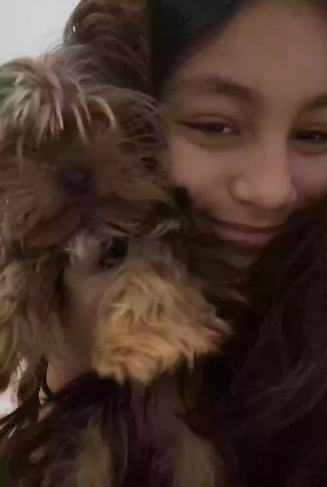 Lost dog in Allentown, PA, 18102