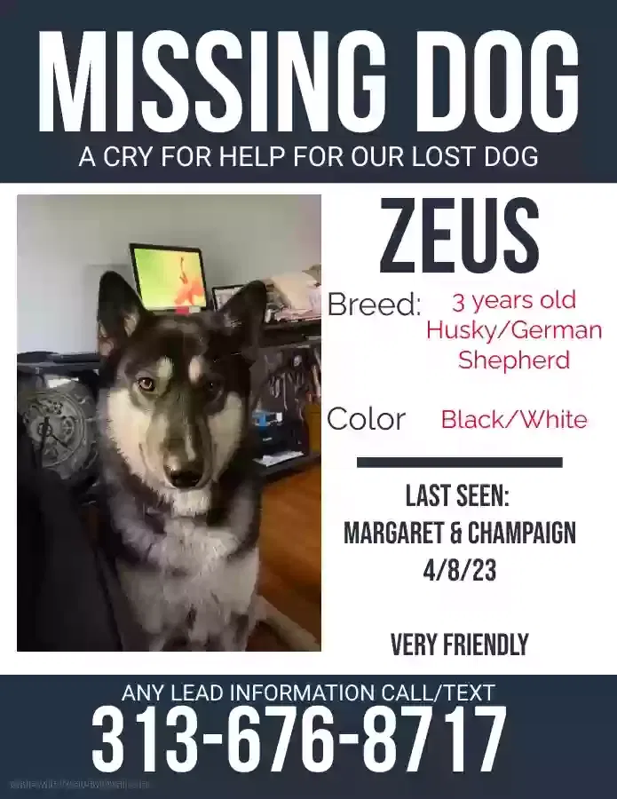 Lost dog in Taylor, MI, 48180