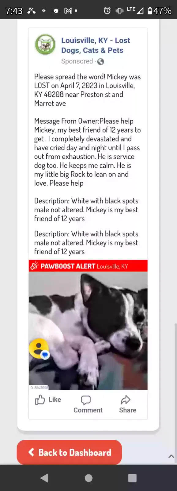 Lost dog in Louisville, KY, 40208