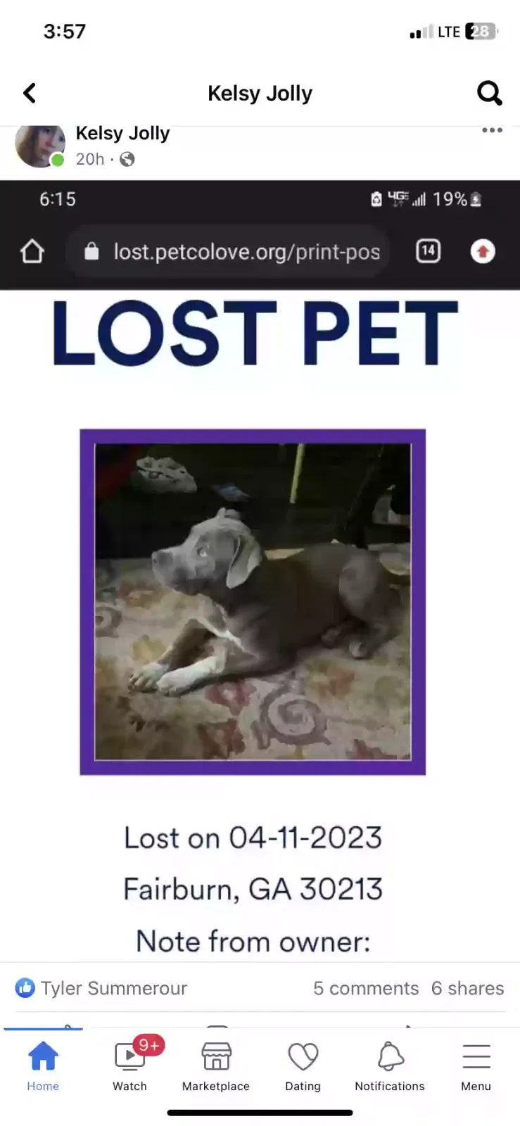 Lost dog in Fairburn, GA, 30213