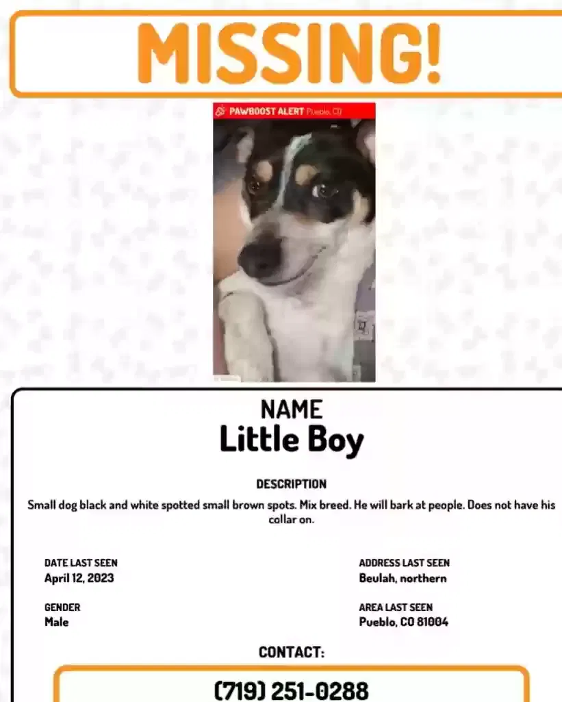 Lost dog in Pueblo, CO, 81004
