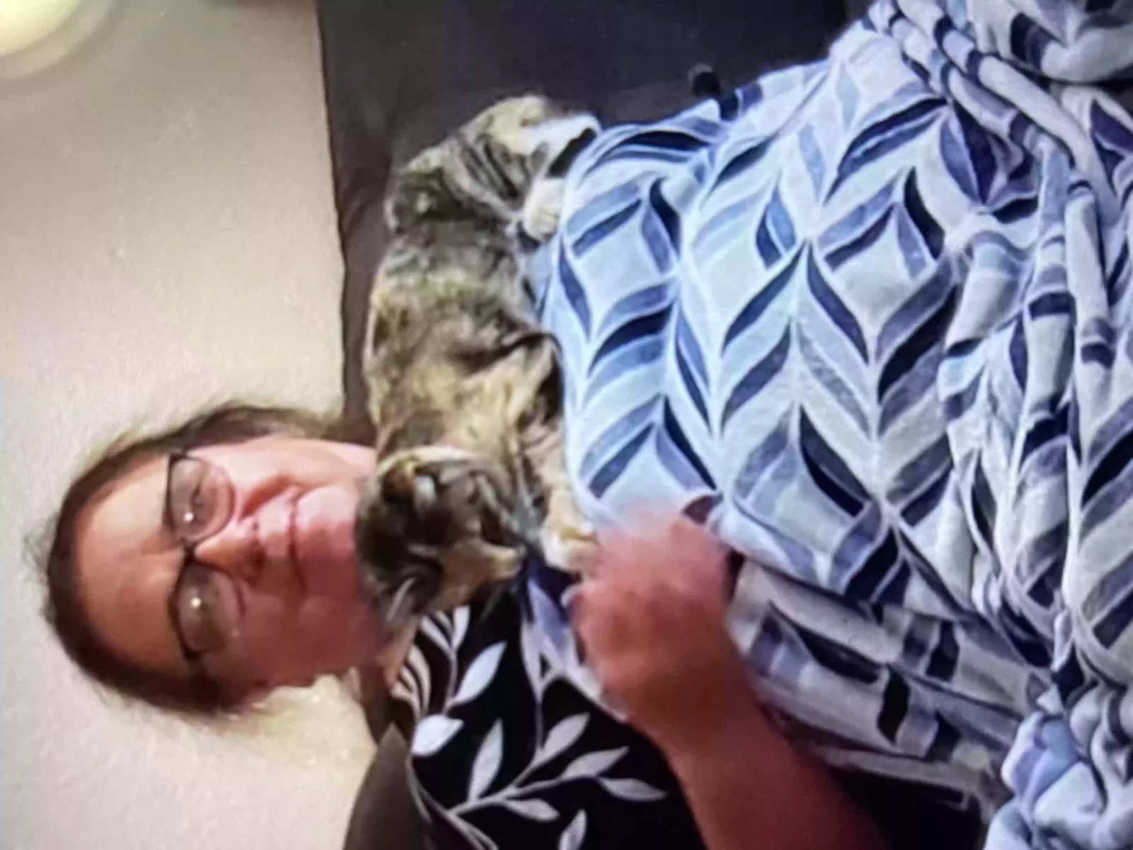 Lost cat in Salem, OR, 97306