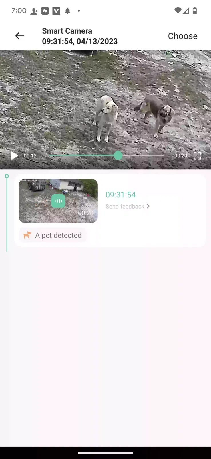 Lost dog in Pelion, SC, 29123