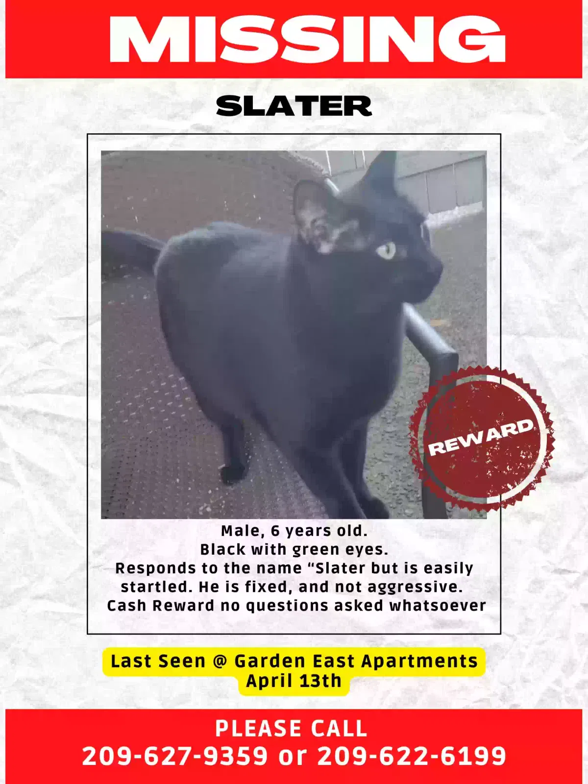 Lost cat in Modesto, CA, 95350