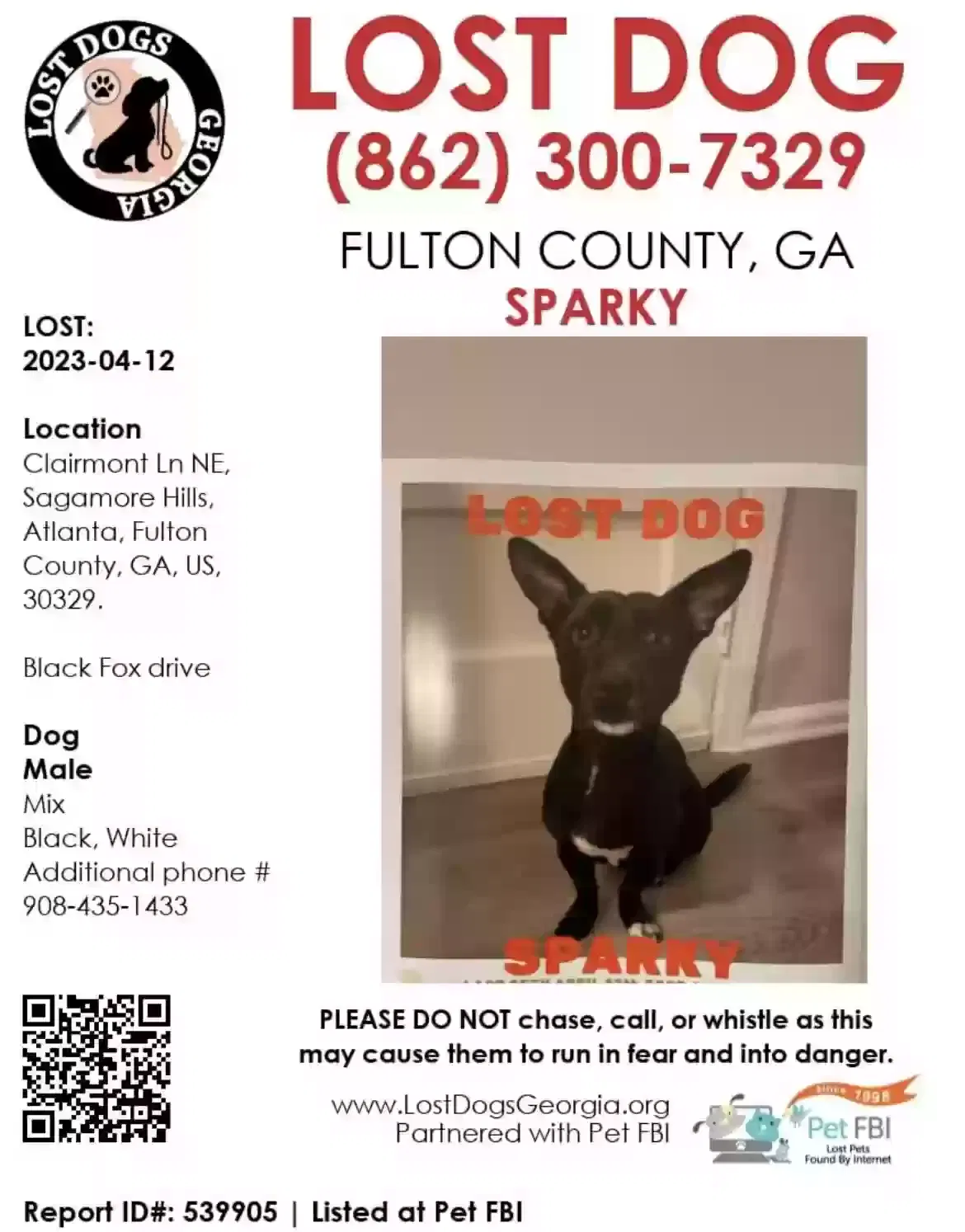 Lost dog in Atlanta, GA, 30329