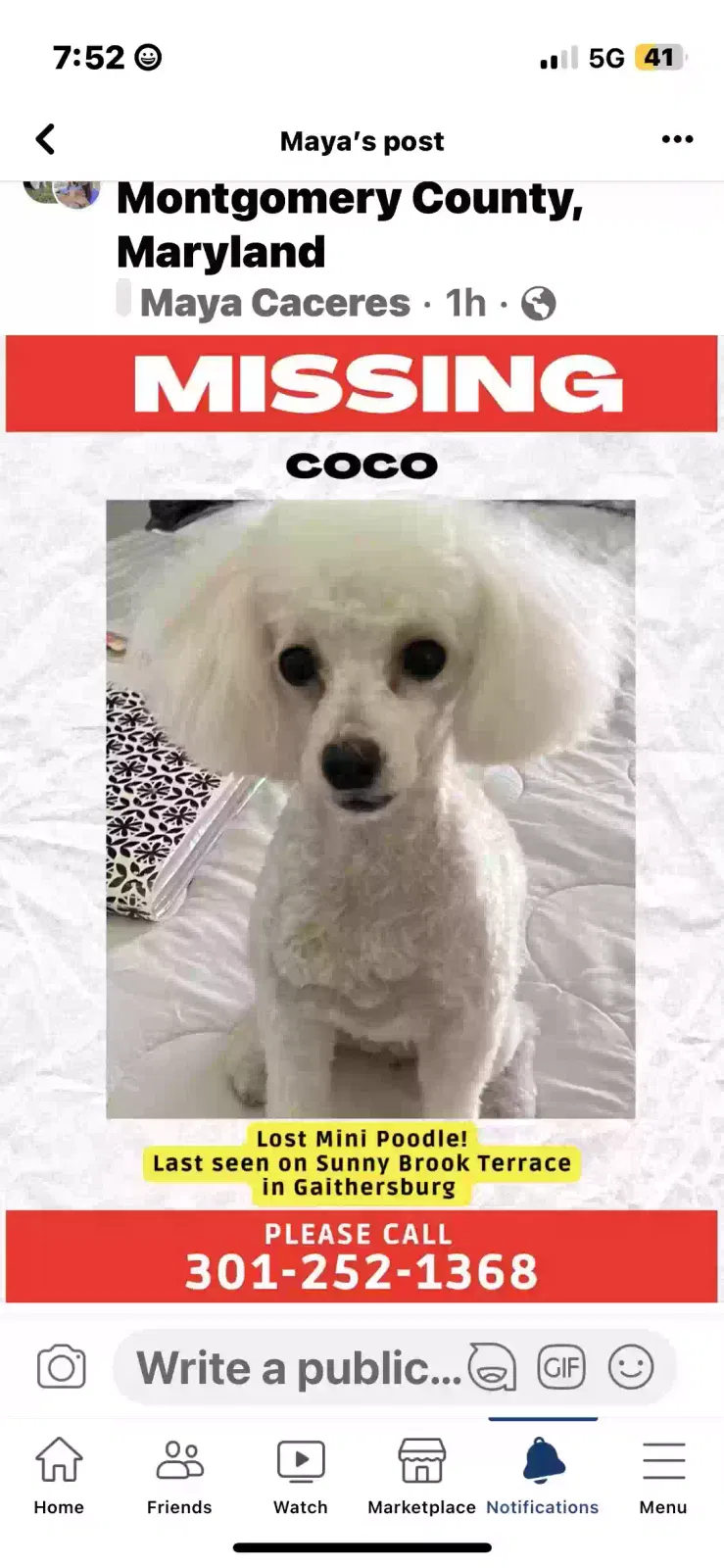 Lost dog in Gaithersburg, MD, 20877