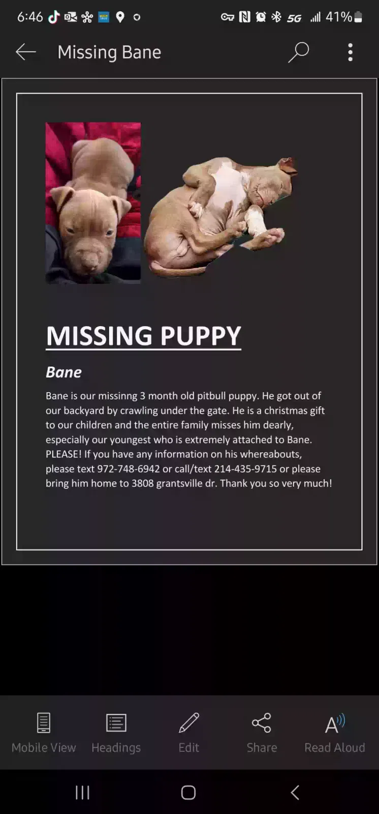 Lost dog in Keller, TX, 76244