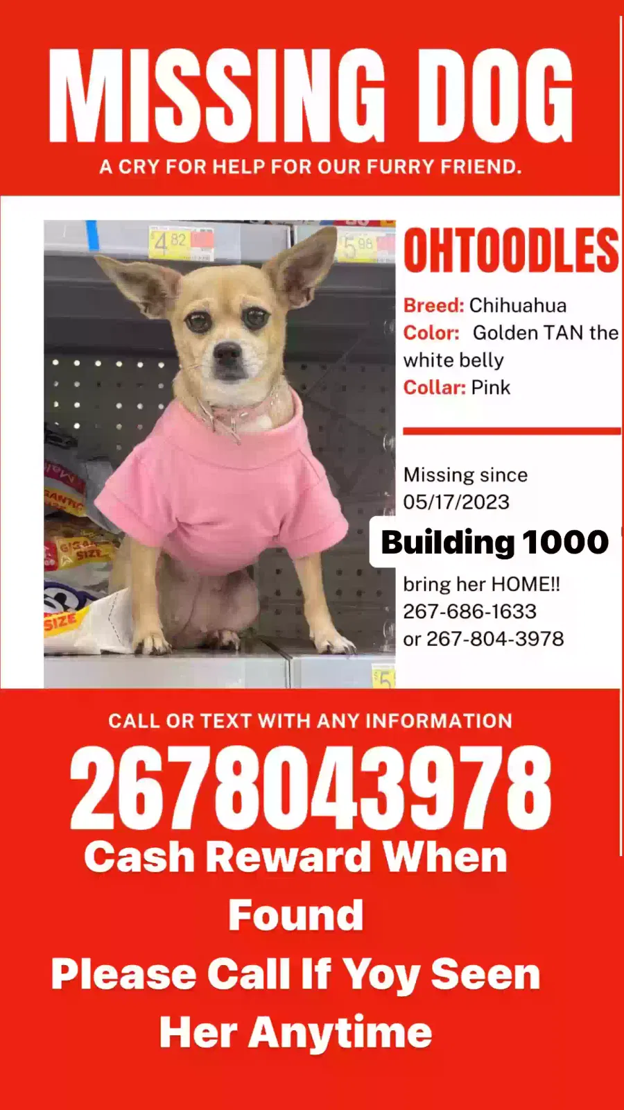 Lost dog in Jacksonville, FL, 32211