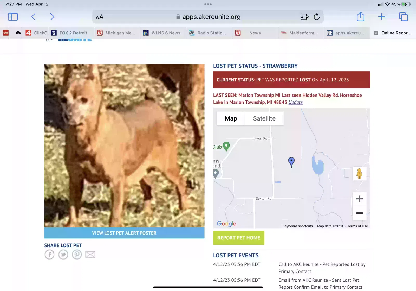 Lost dog in Unknown, MI, 4884
