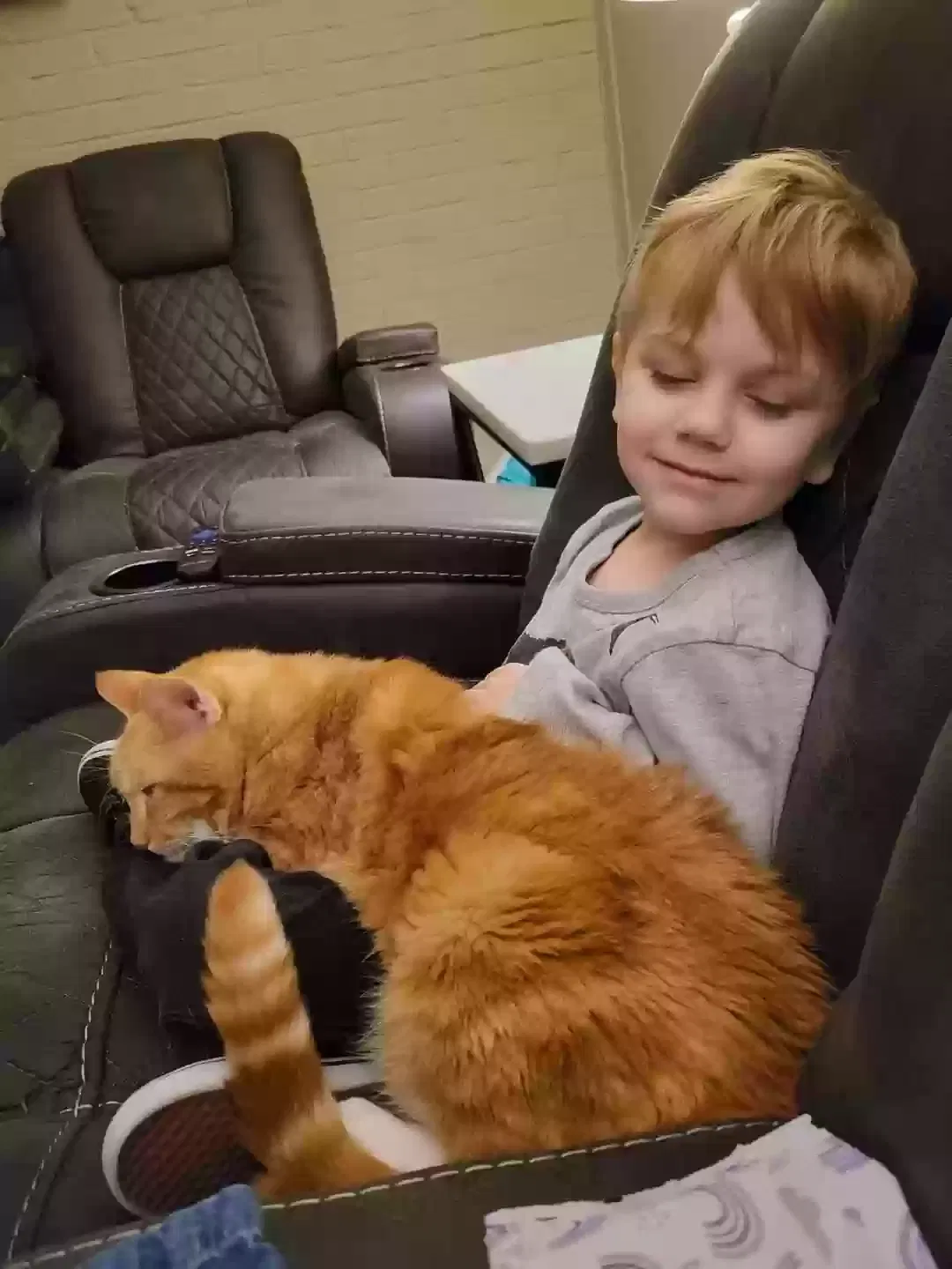 Lost cat in Fort Worth, TX, 76133