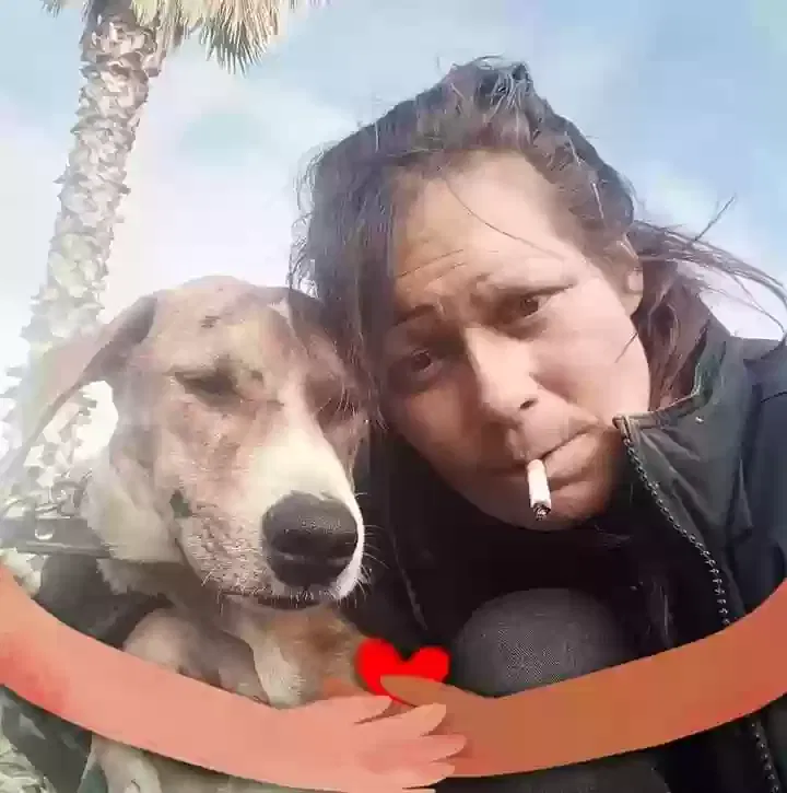Lost dog in Perris, CA, 92570