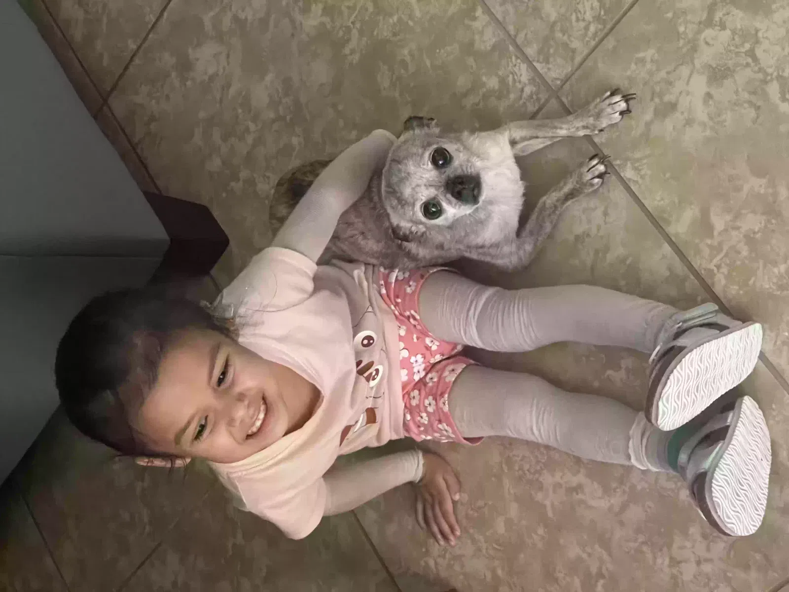 Lost dog in San Antonio, TX, 78240