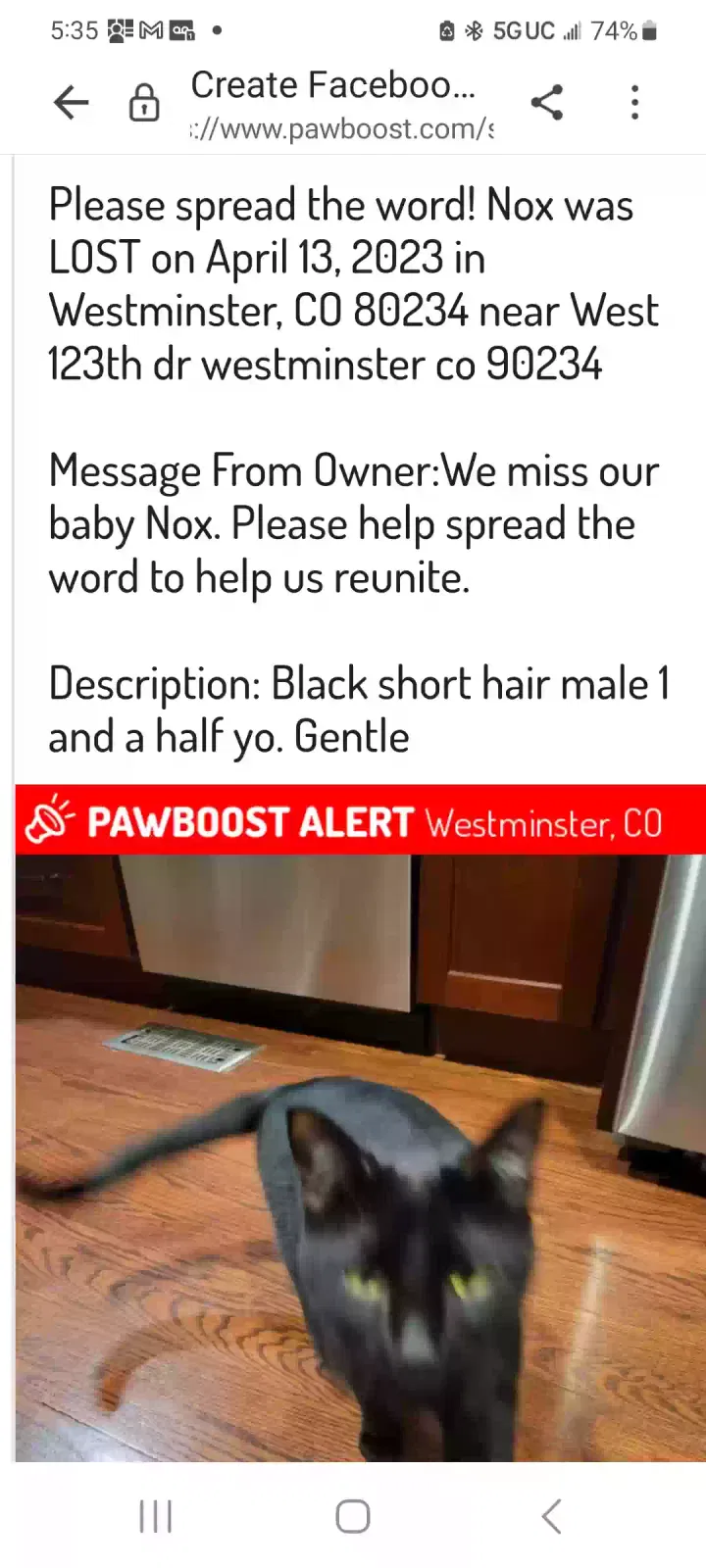 Lost cat in Denver, CO, 80234