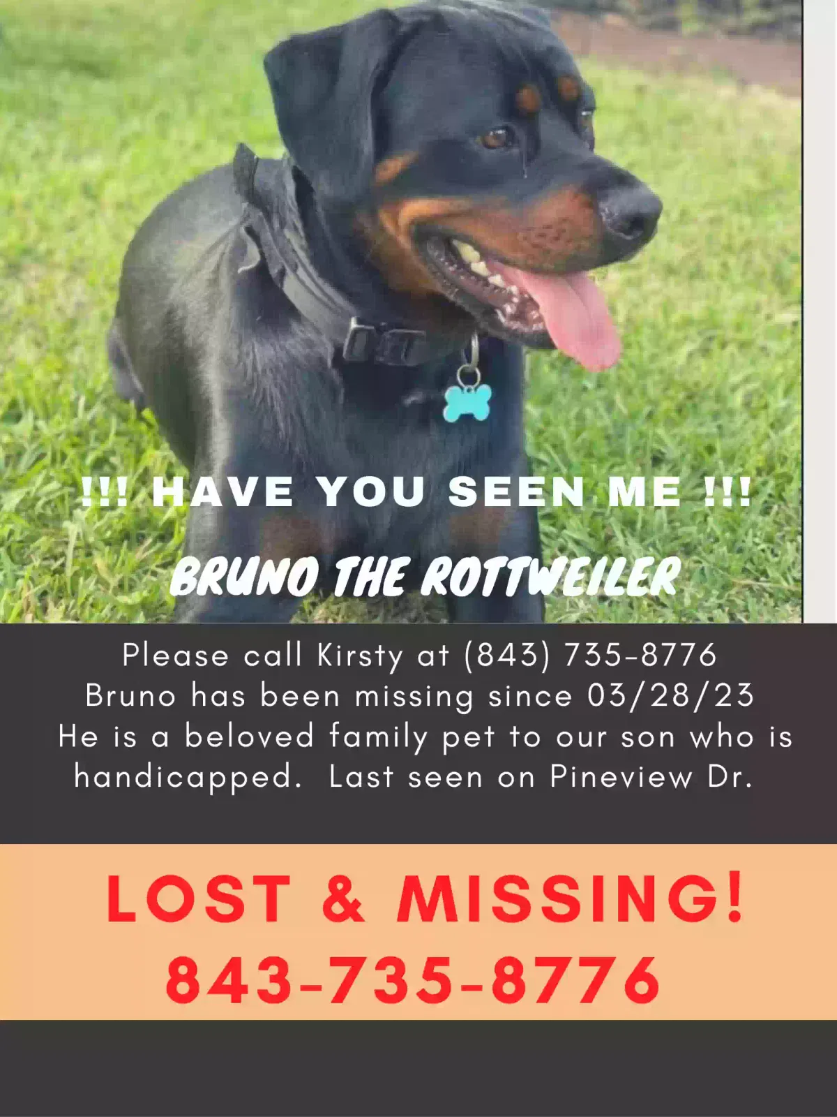 Lost dog in Goose Creek, SC, 29445