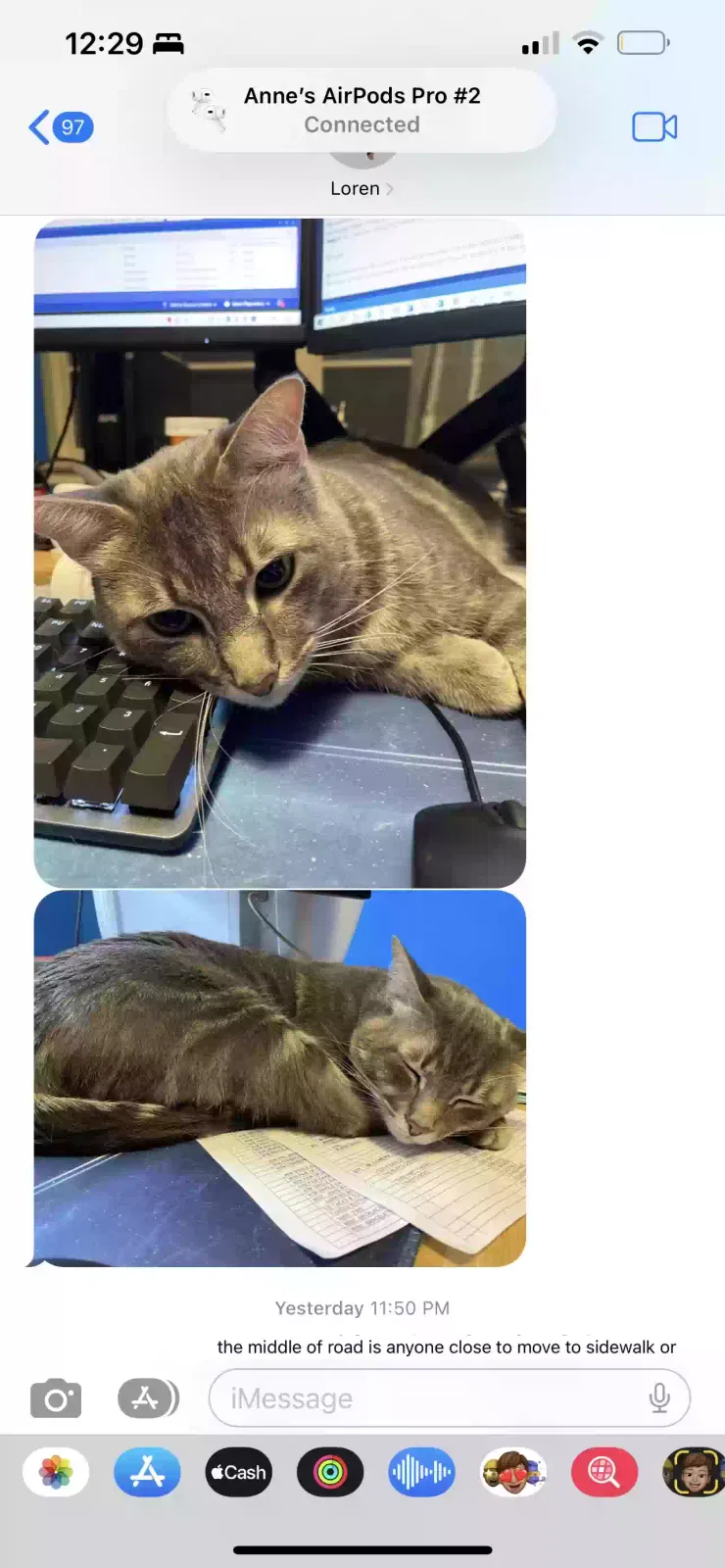 Missing Cat