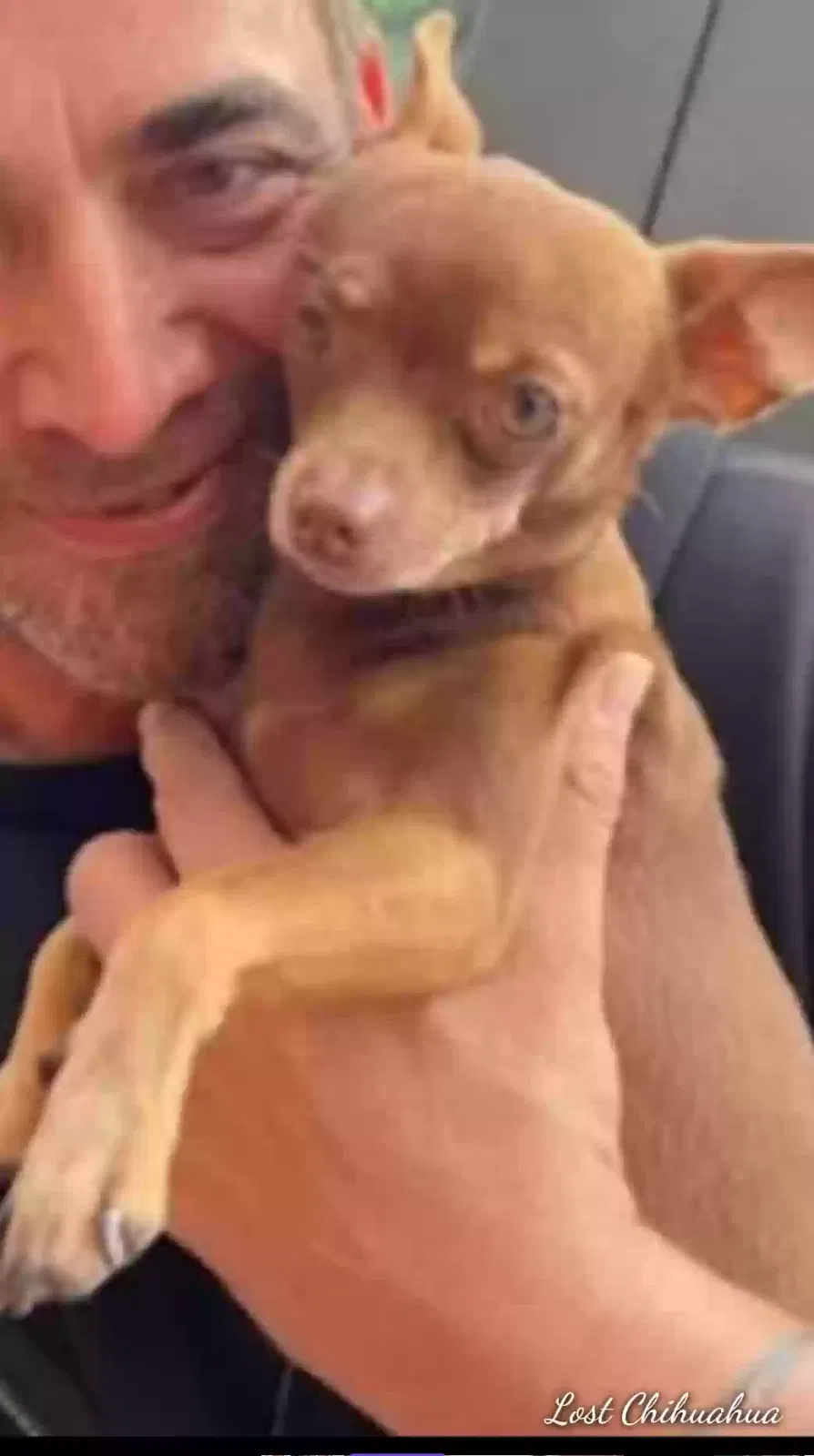 Lost dog in Chula Vista, CA, 91910