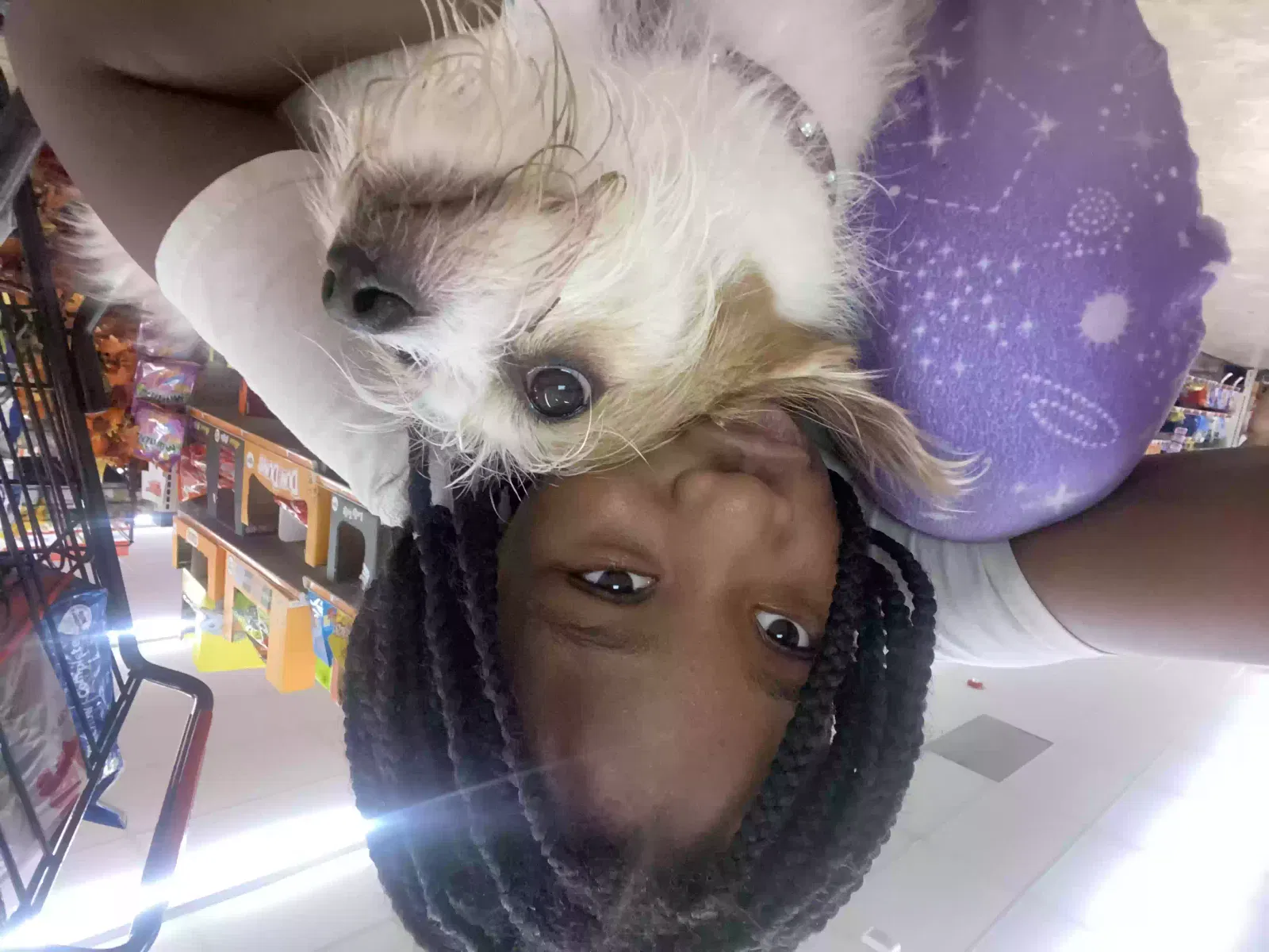 Lost dog in Stratford, CT, 6615