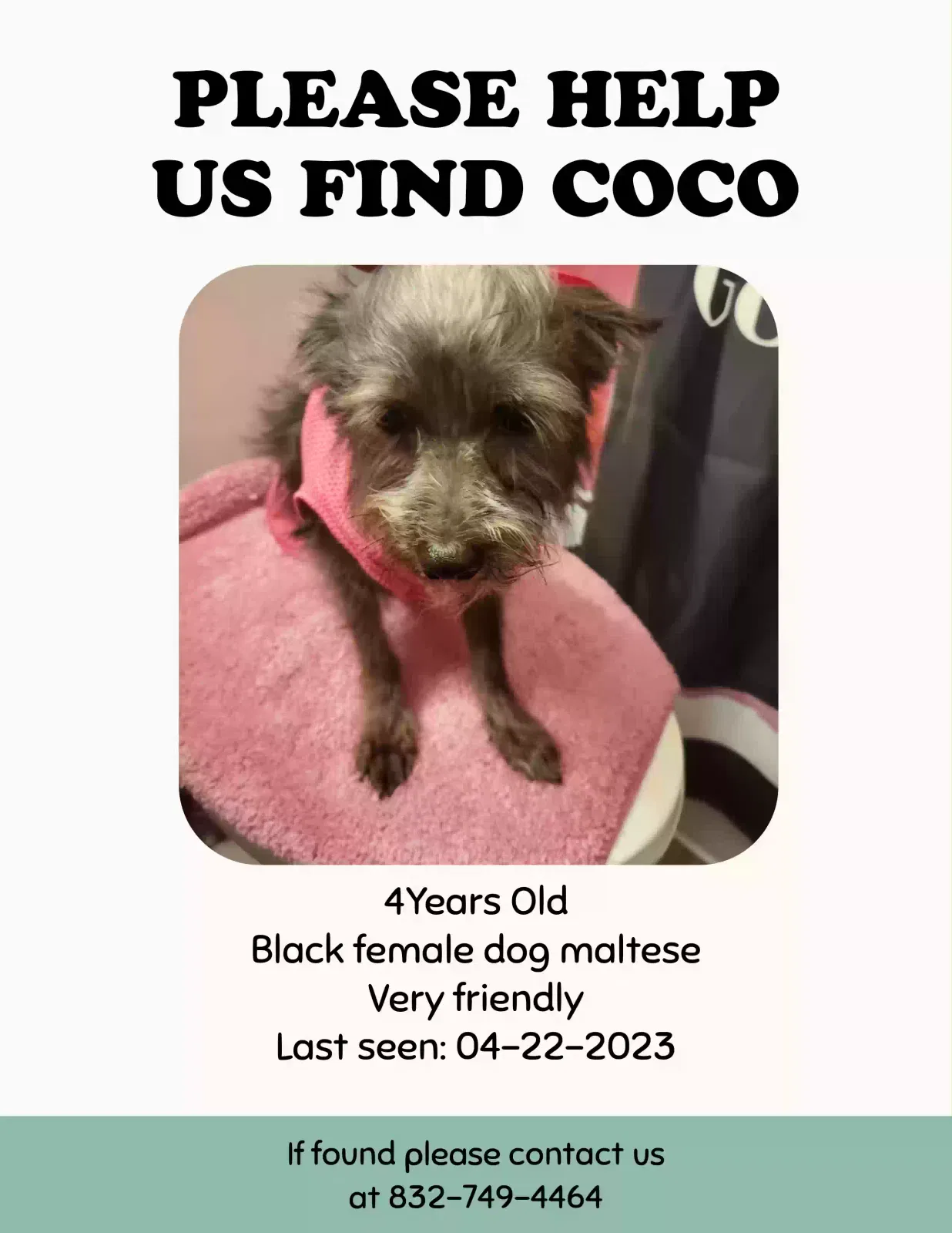 Lost dog in Houston, TX, 77036