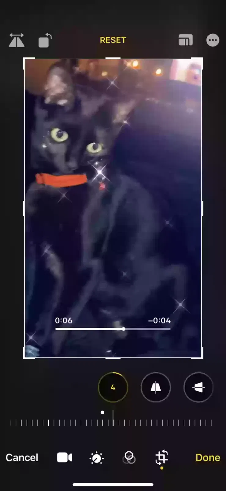 Lost cat in Modesto, CA, 95351
