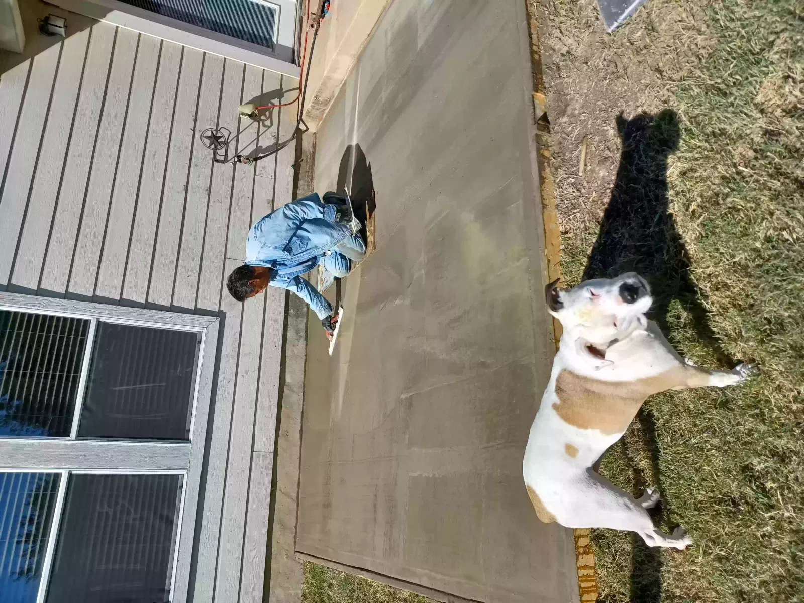Lost dog in San Antonio, TX, 78223