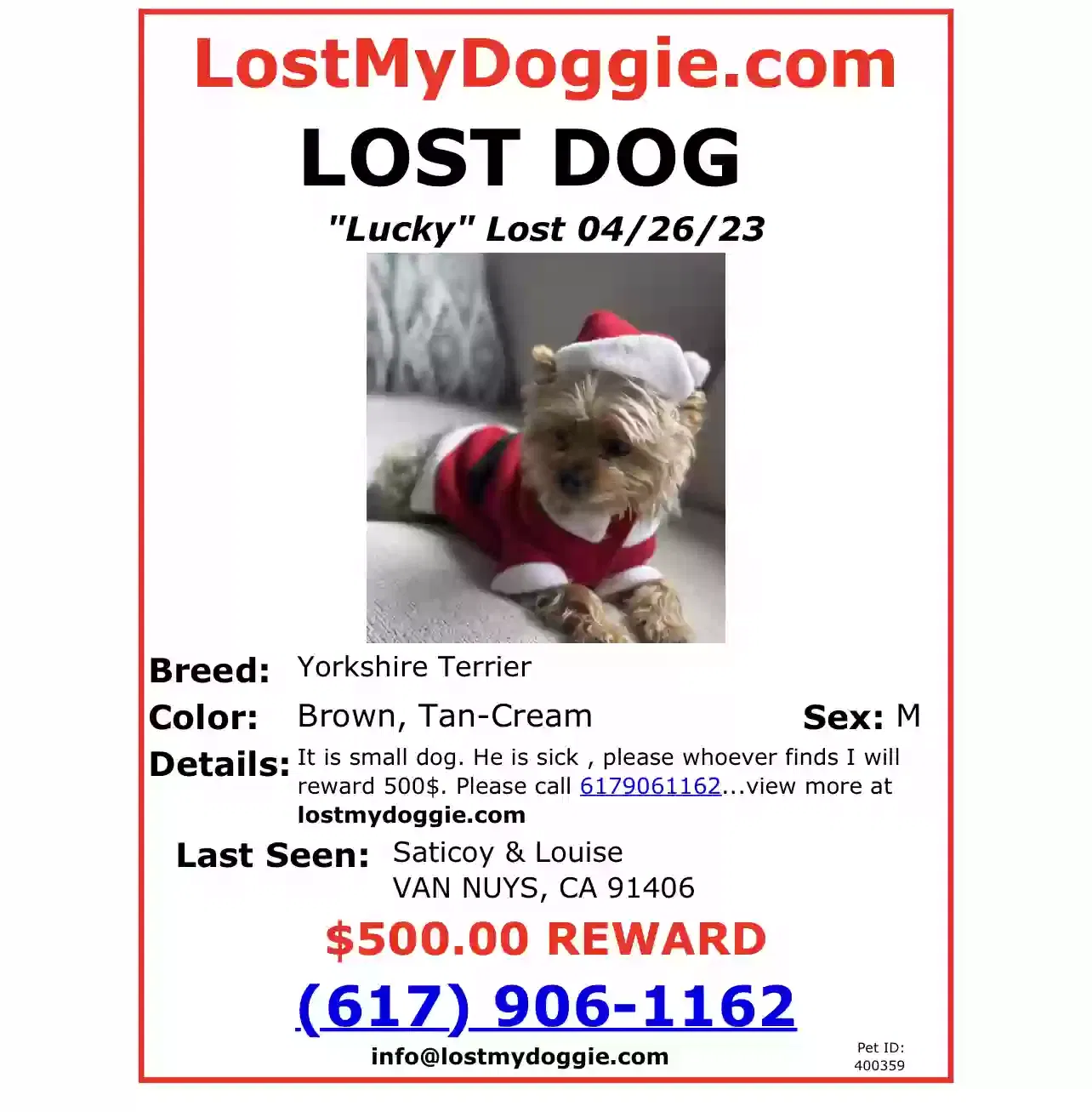 Lost dog in Van Nuys, CA, 91406