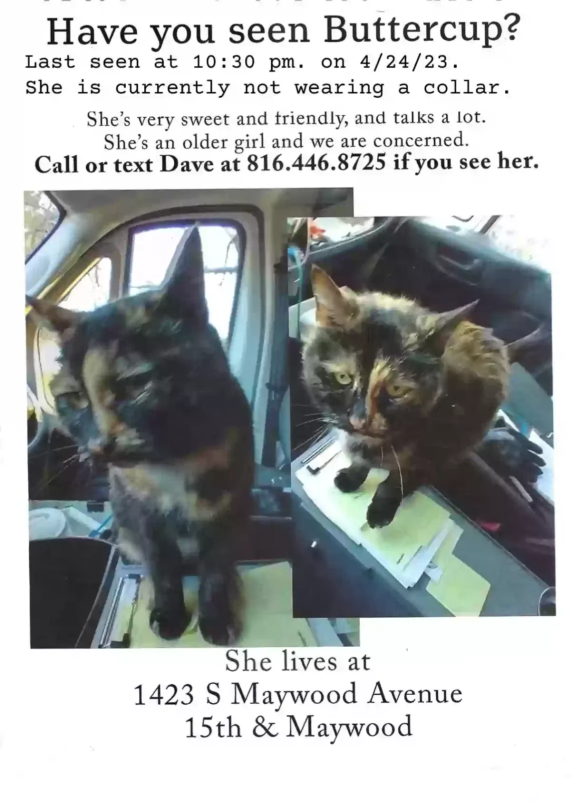 Lost cat in Independence, MO, 64052