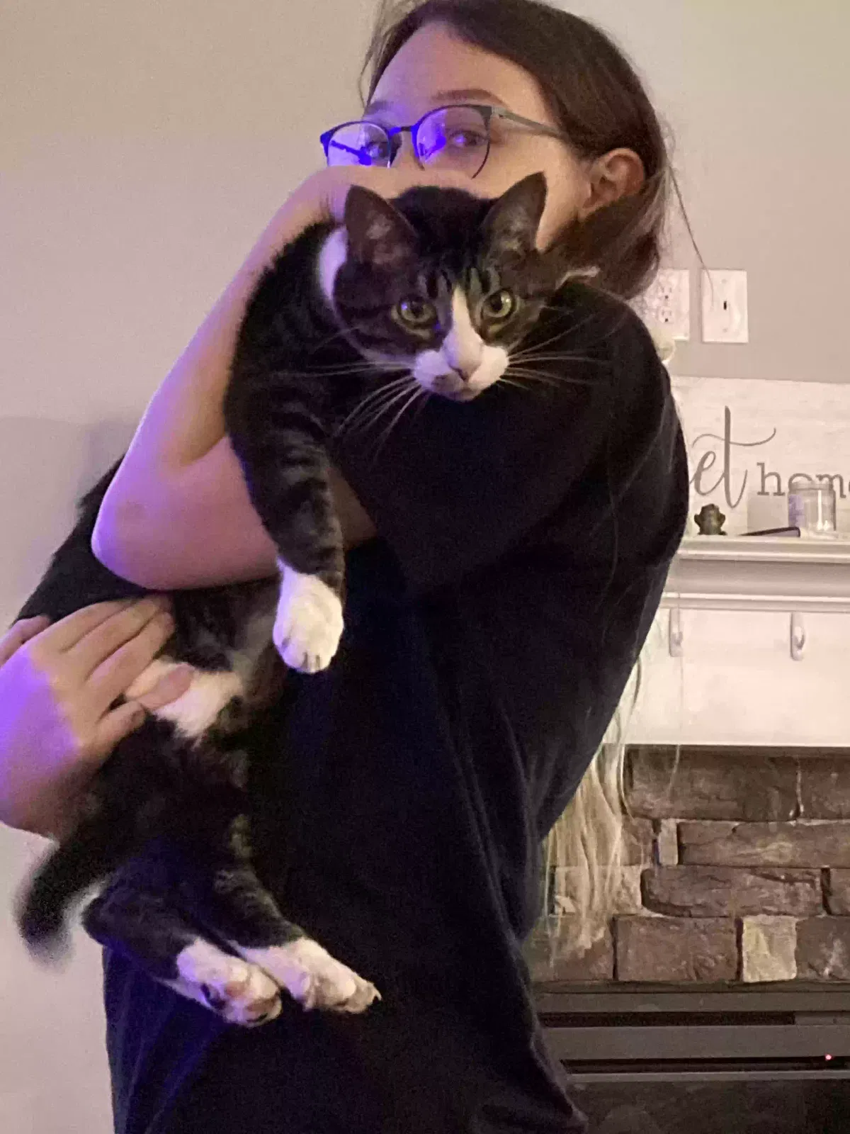 Lost cat in Grovetown, GA, 30813