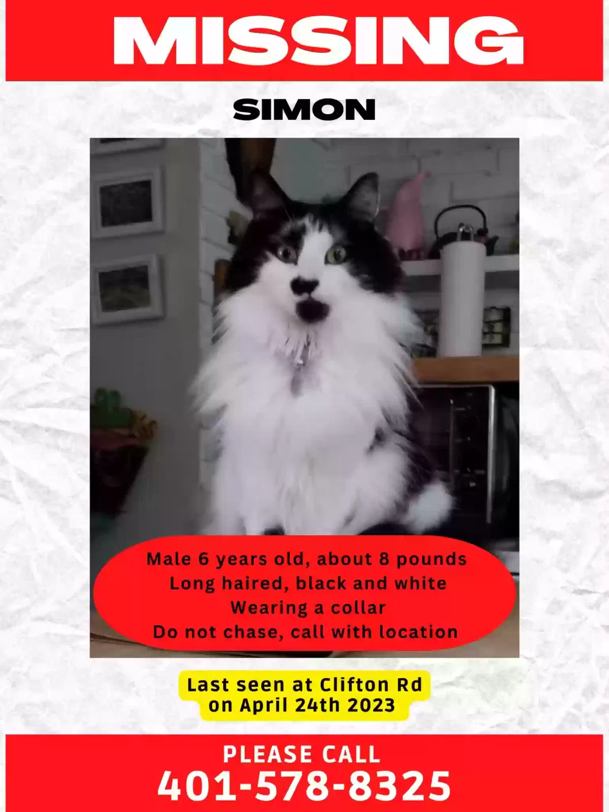 Lost cat in Bristol, RI, 2809