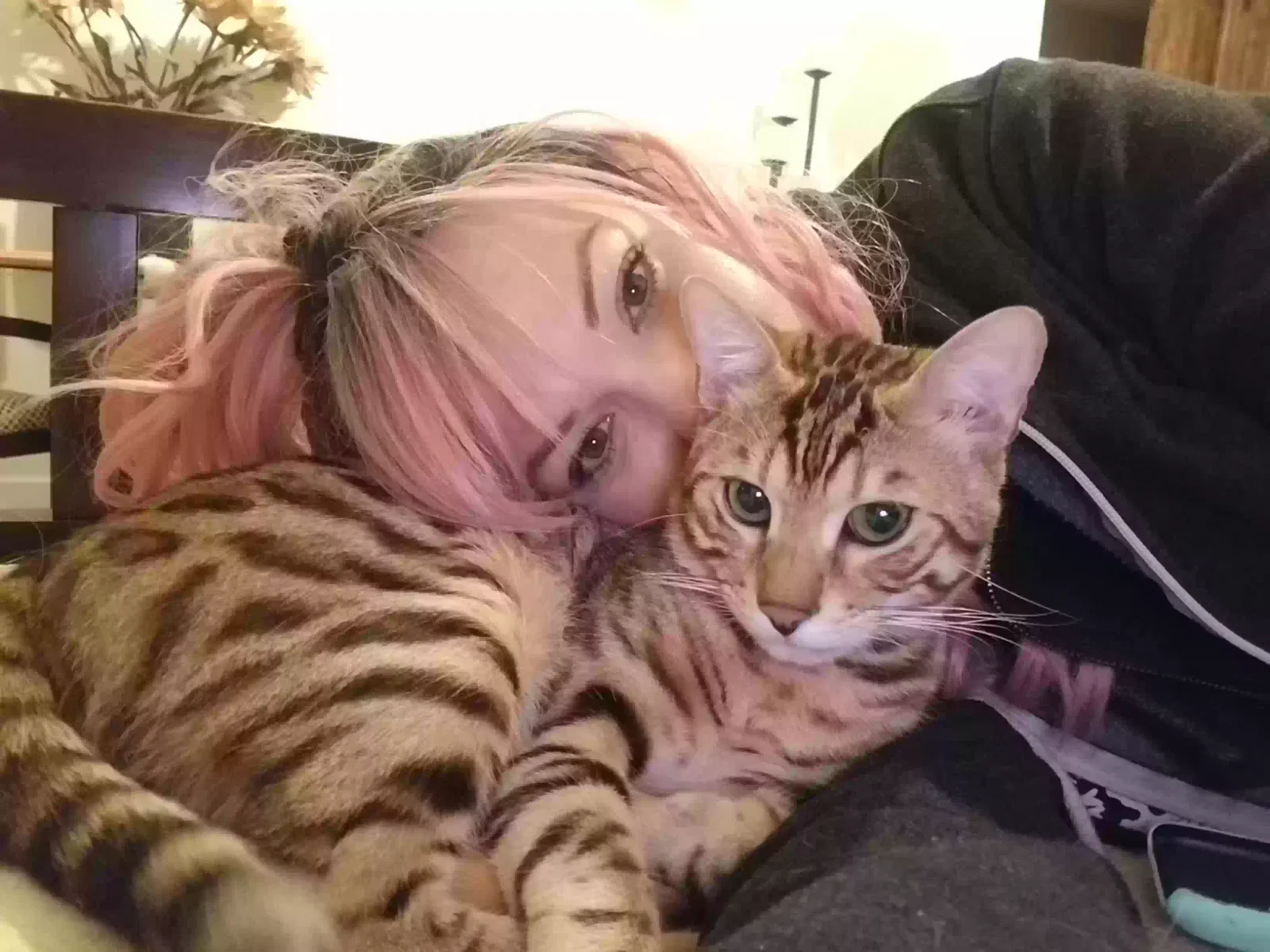 Lost cat in Fallbrook, CA, 92028