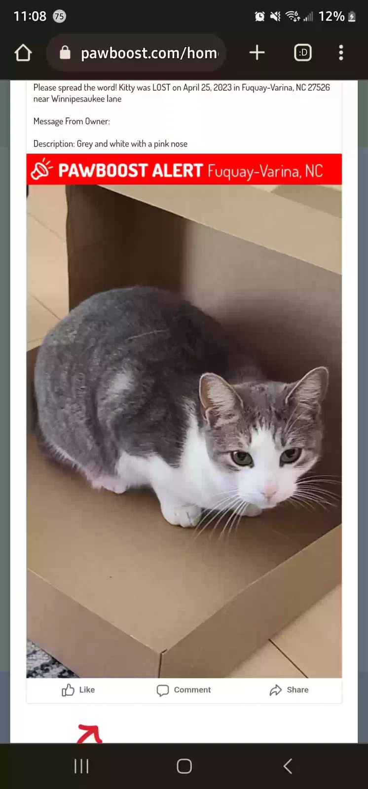 Lost cat in Fuquay Varina, NC, 27526
