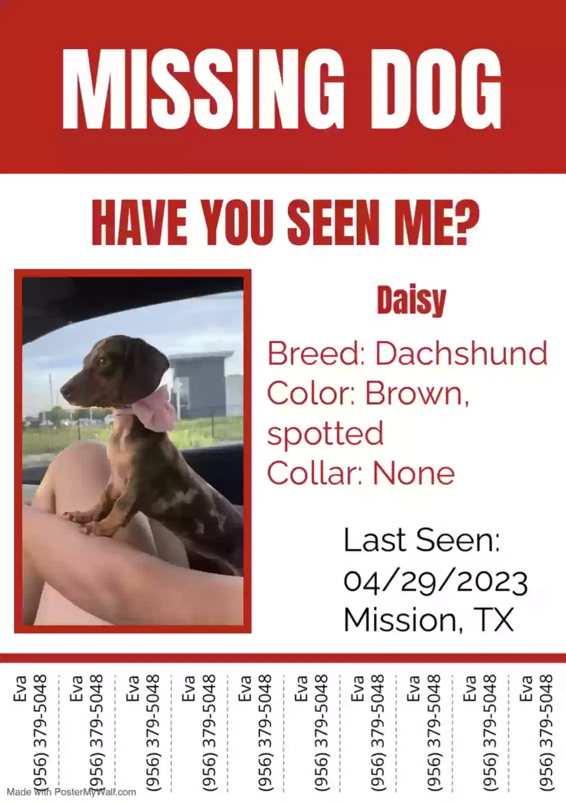 Lost dog in Mission, TX, 78573