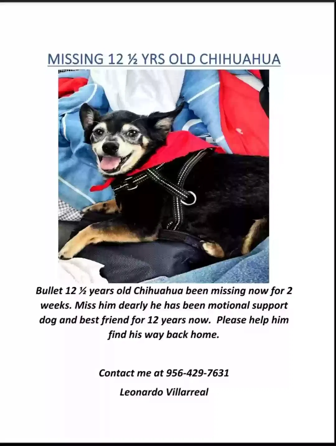 Lost dog in Edcouch, TX, 78538