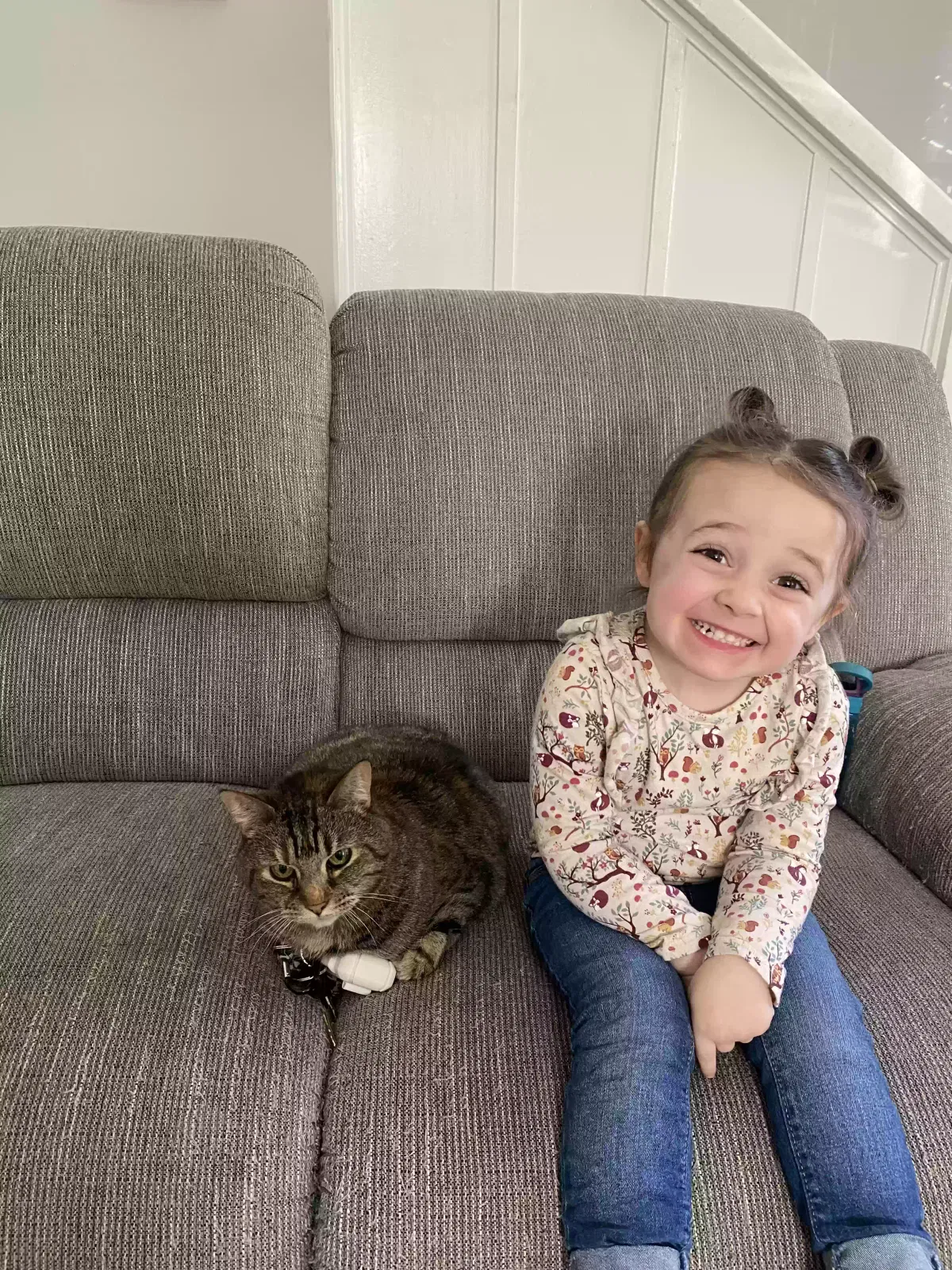 Lost cat in Louisville, KY, 40222