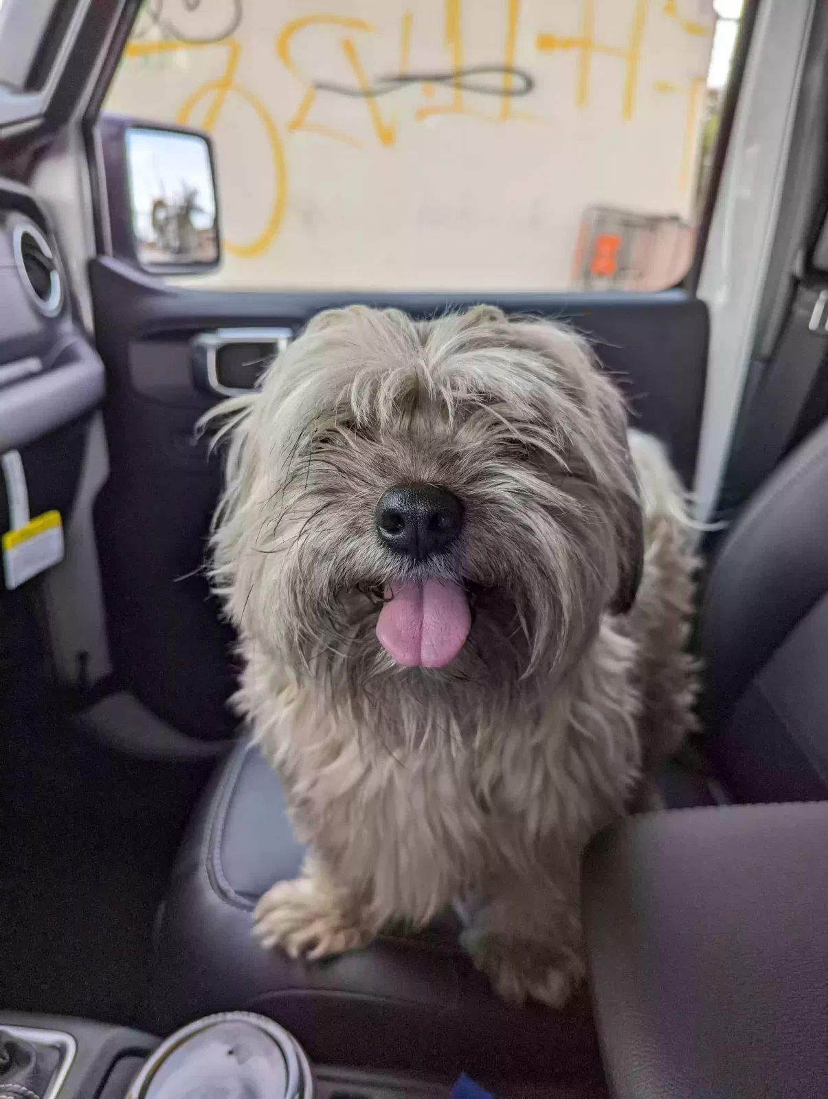 Found dog in Compton, CA, 90222