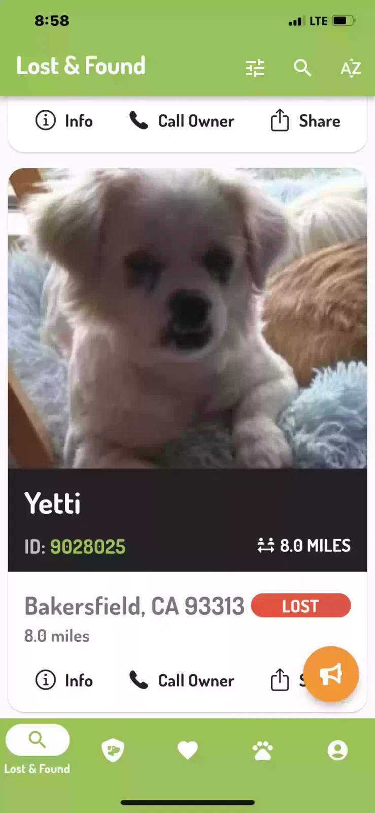 Lost dog in Bakersfield, CA, 93304