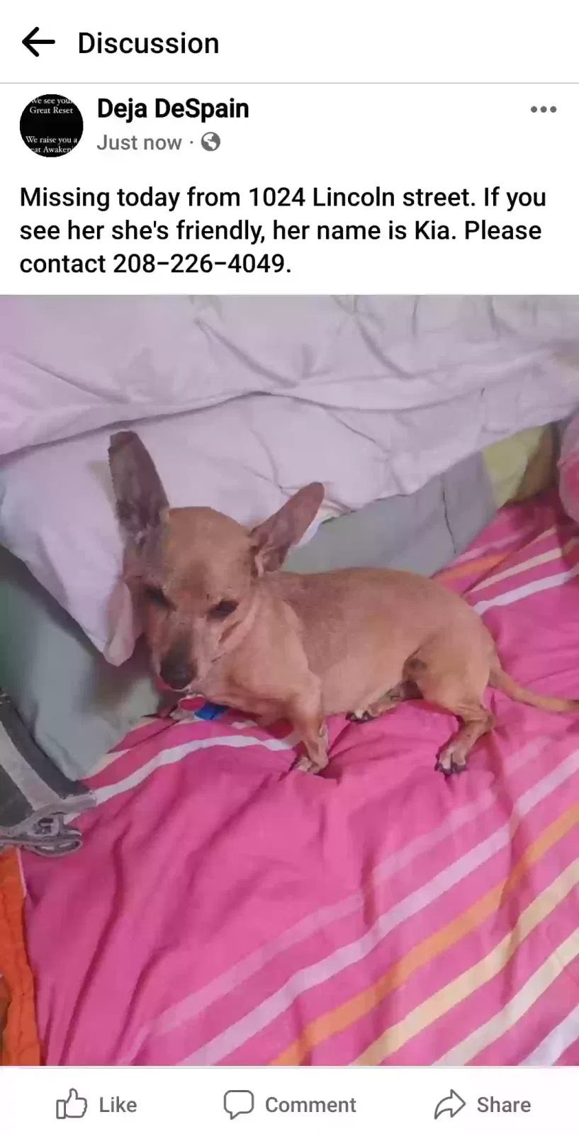 Lost dog in Montpelier, ID, 83254
