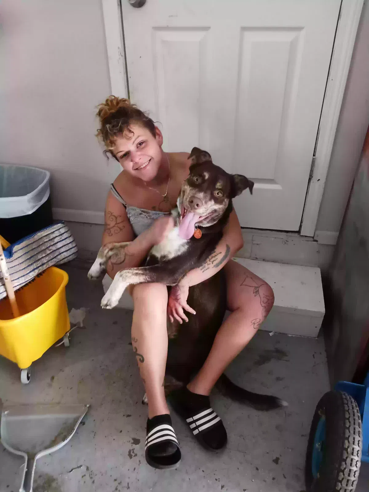 Lost dog in Kansas City, KS, 66104