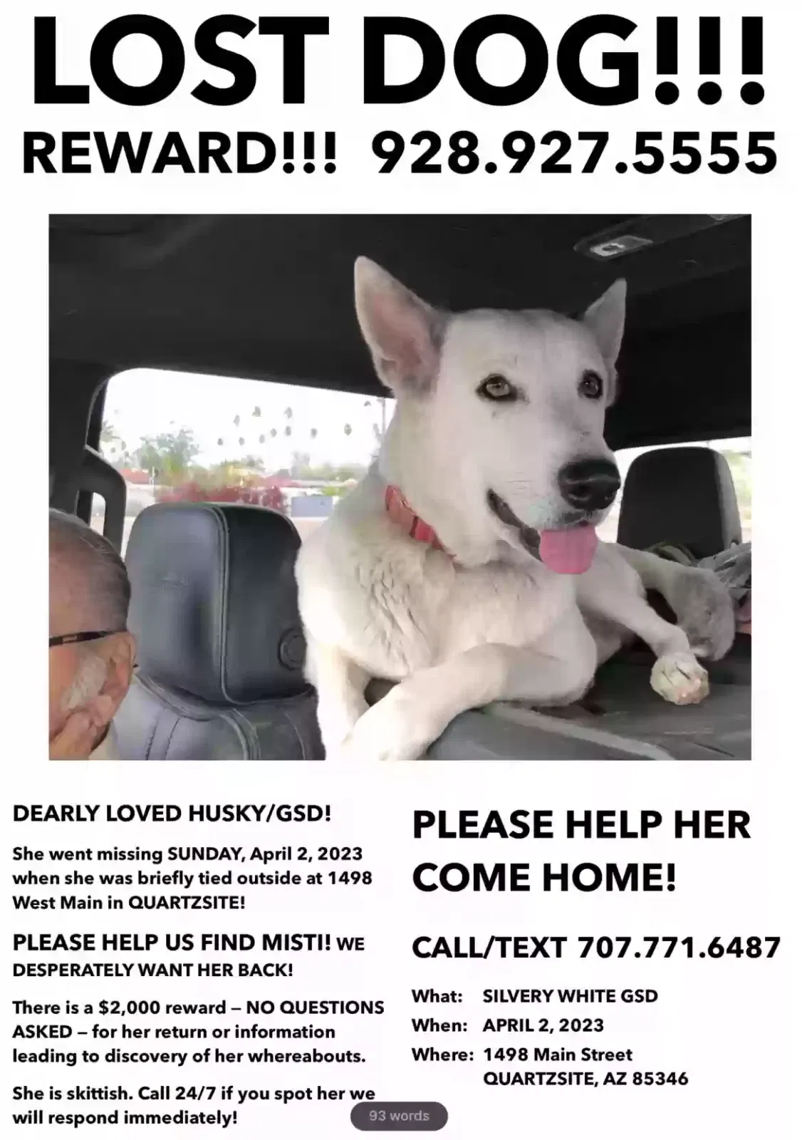Lost dog in Phelan, CA, 92371