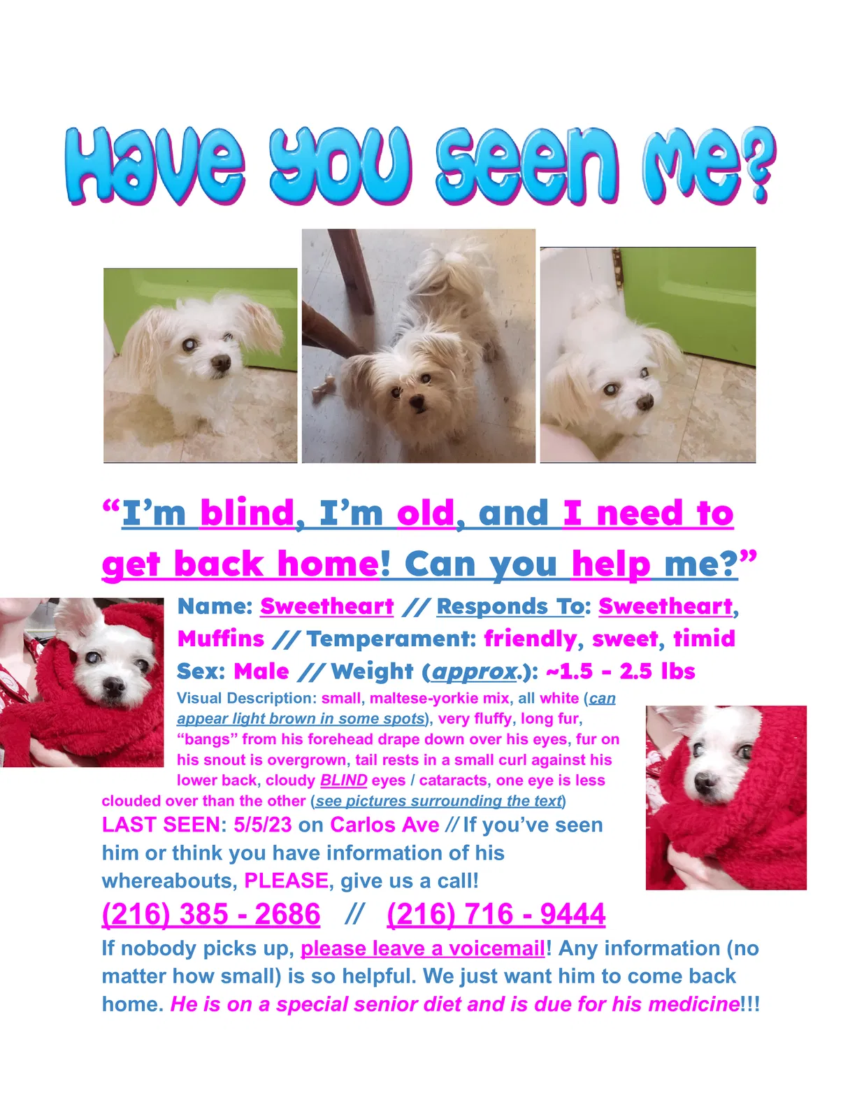 Lost dog in Cleveland, OH, 44102