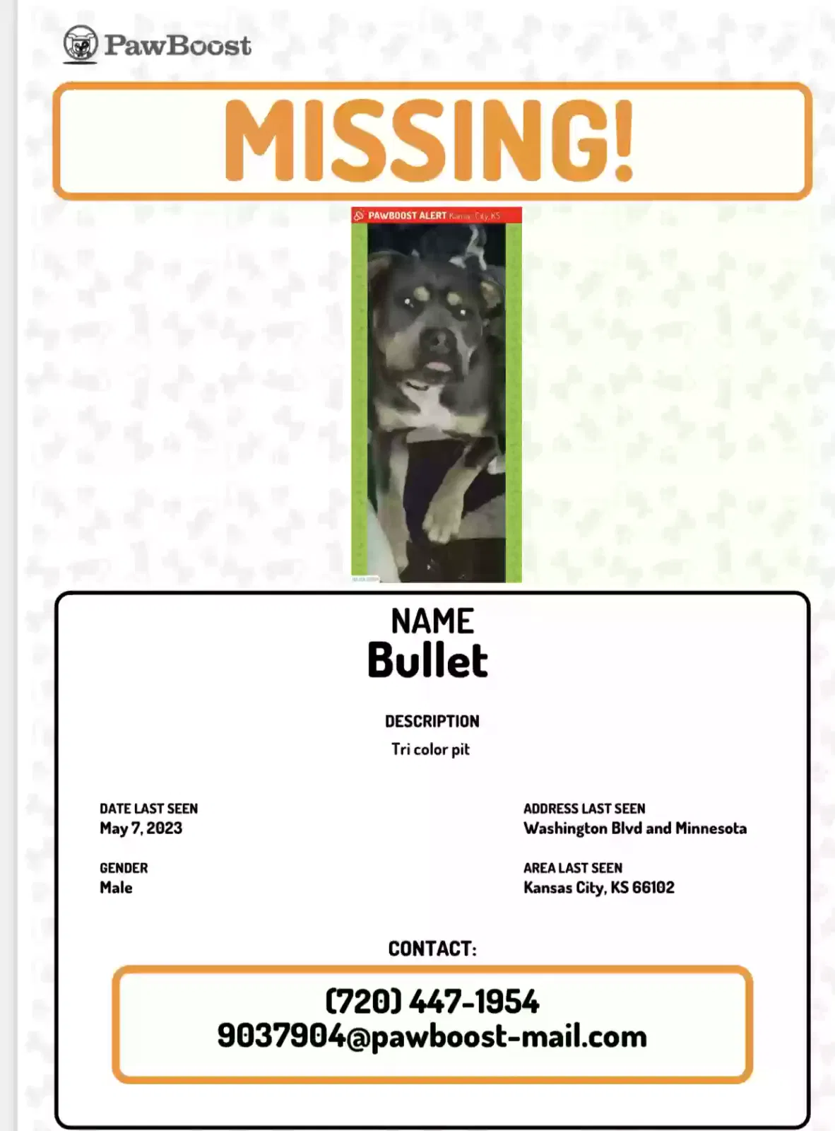 Lost dog in Kansas City, KS, 66102