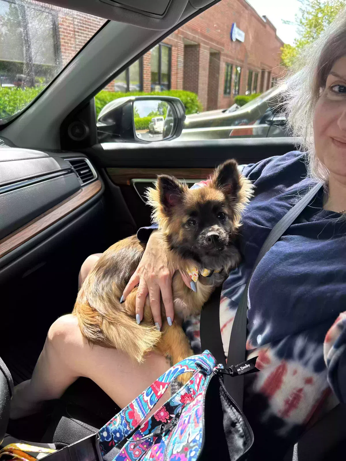 Lost dog in Youngsville, NC, 27596
