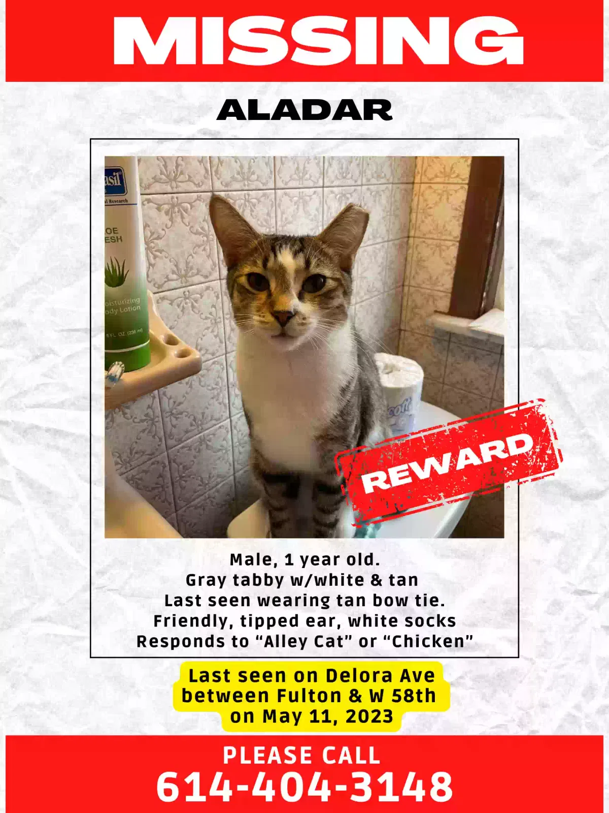 Lost cat in Cleveland, OH, 44144