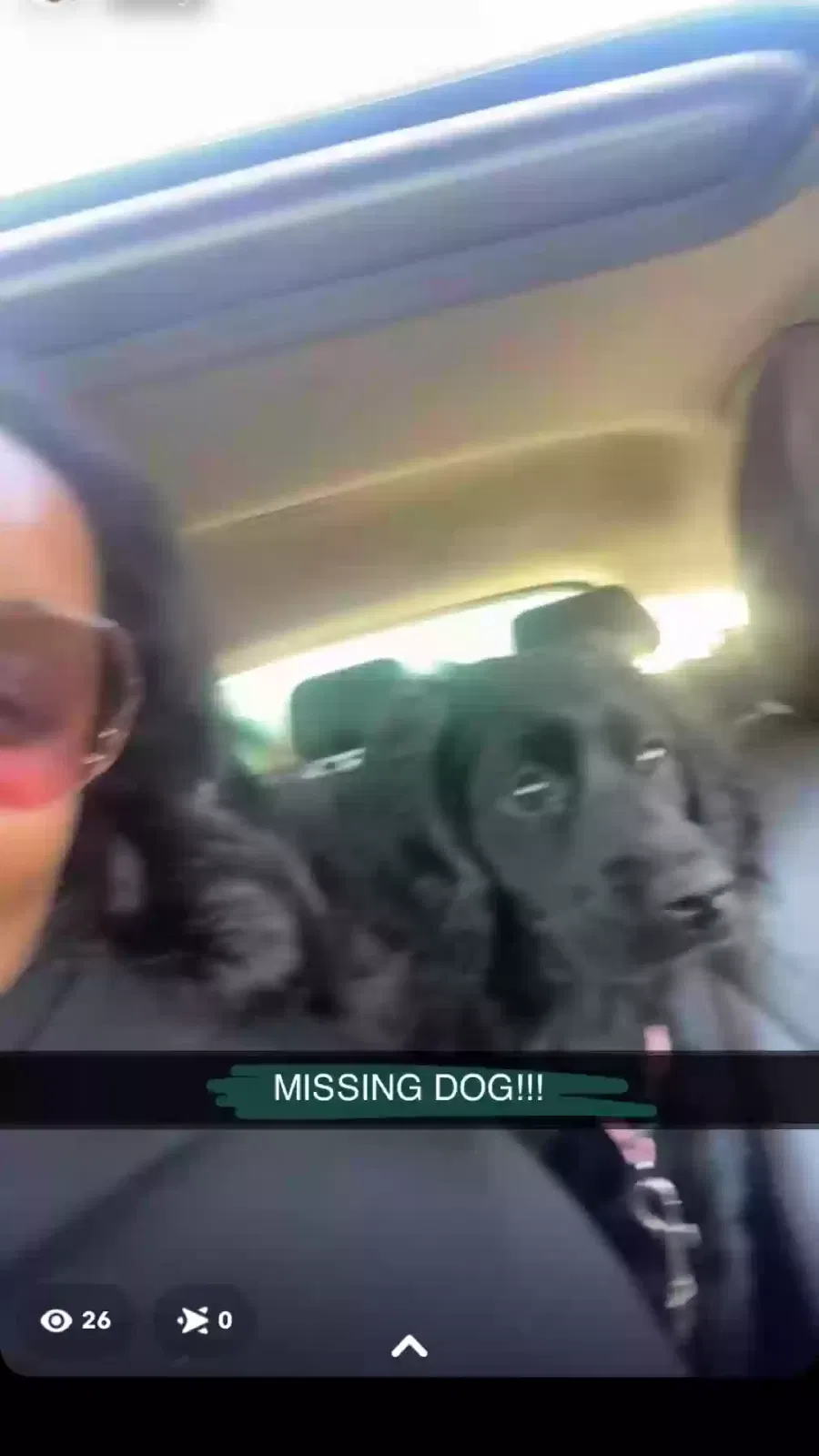 Lost dog in North Little Rock, AR, 72114