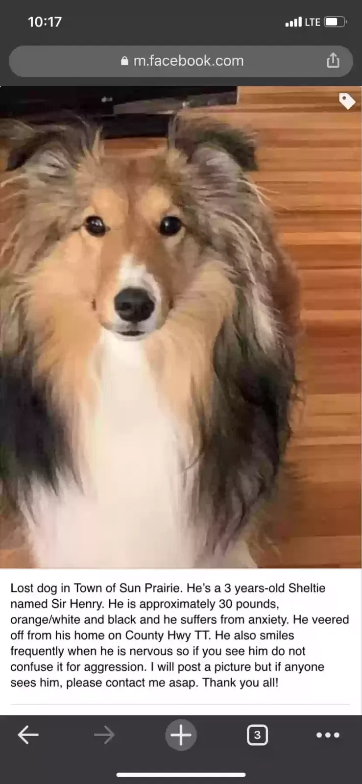 Lost dog in Marshall, WI, 53559