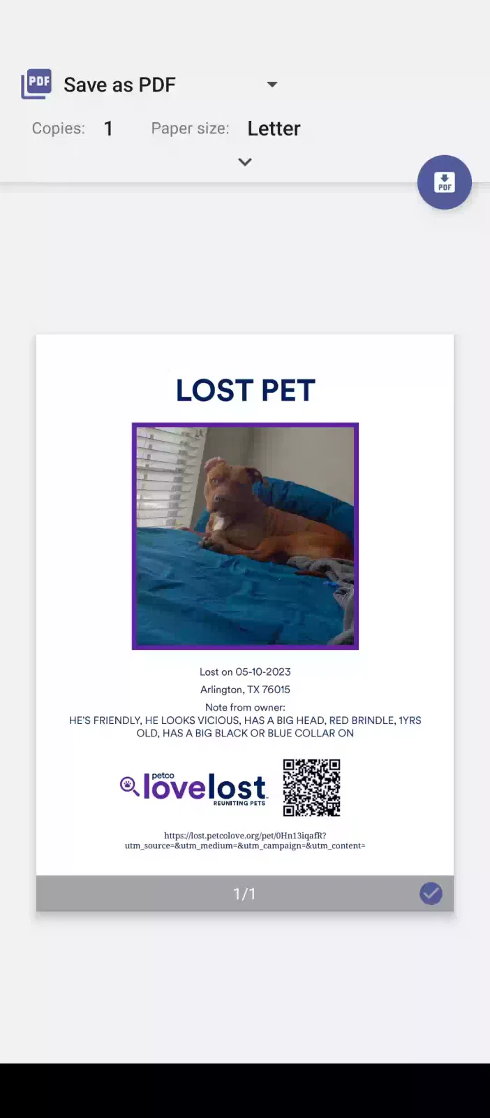 Lost dog in Arlington, TX, 76015